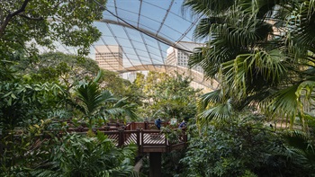 The Edward Youde Aviary is the biggest aviary of its type in Hong Kong. A suspended  stainless steel net covers a site of several hectares avoiding the use of columns. Located in a natural valley many of the original trees were retained and maintained within the netted canopy. The natural topography of the site, creating a variety of microclimatic conditions, allows for a large mix of plant species and vegetation associations that, in turn, creates a variety of bird habitats.
